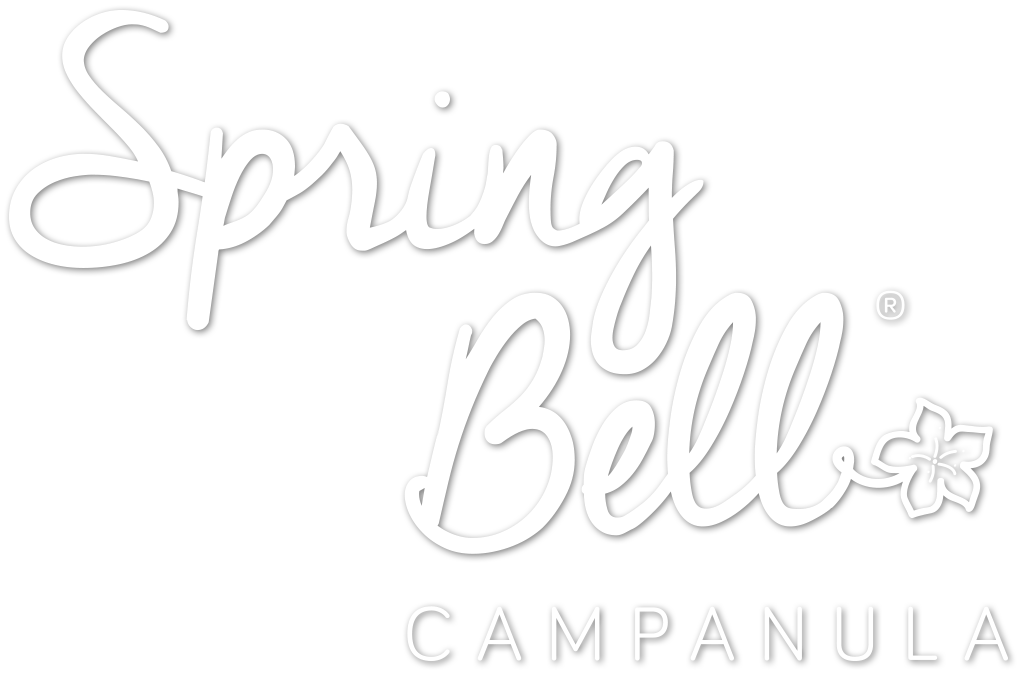 Spring Bell Campanula Logo